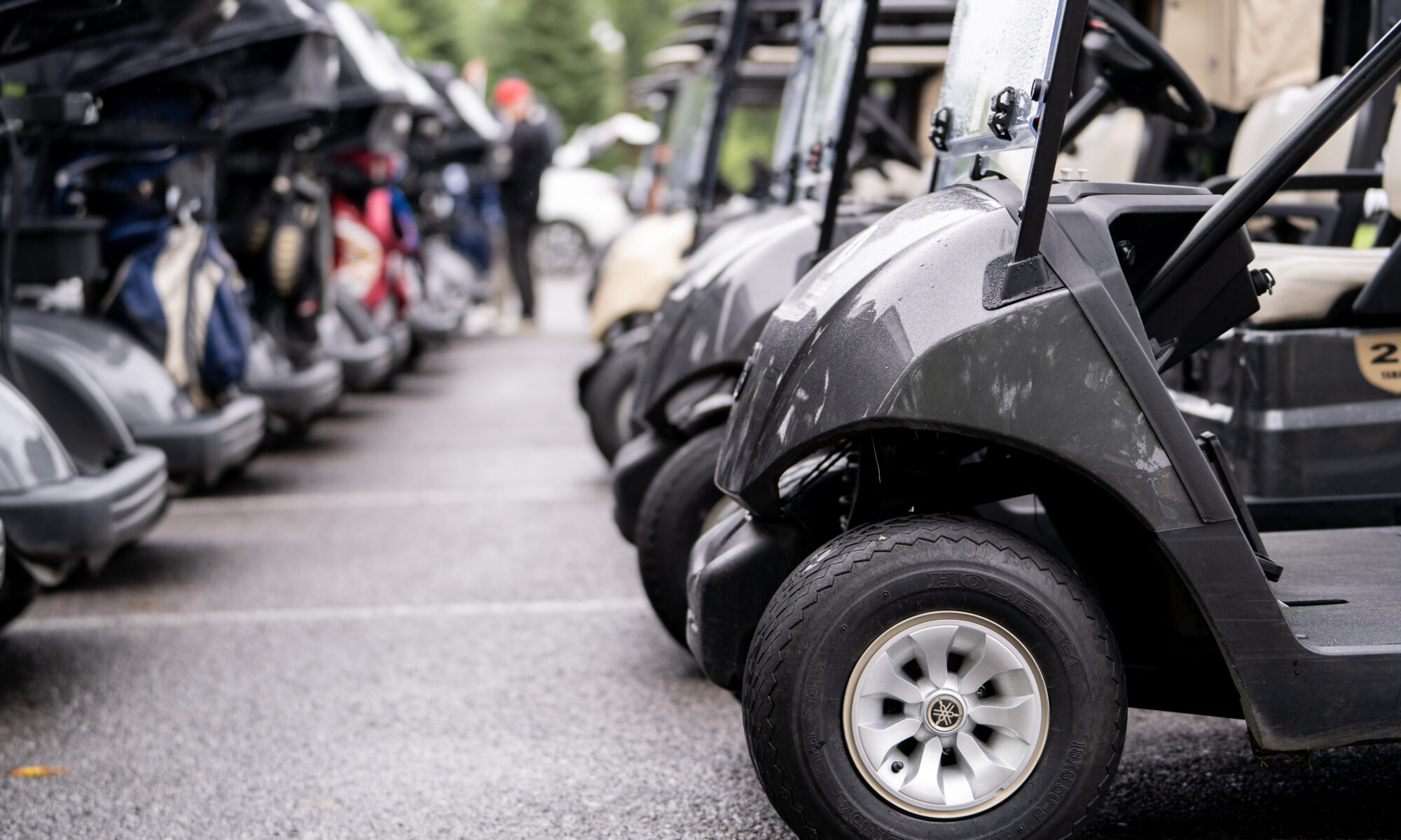 Golf carts parked in line